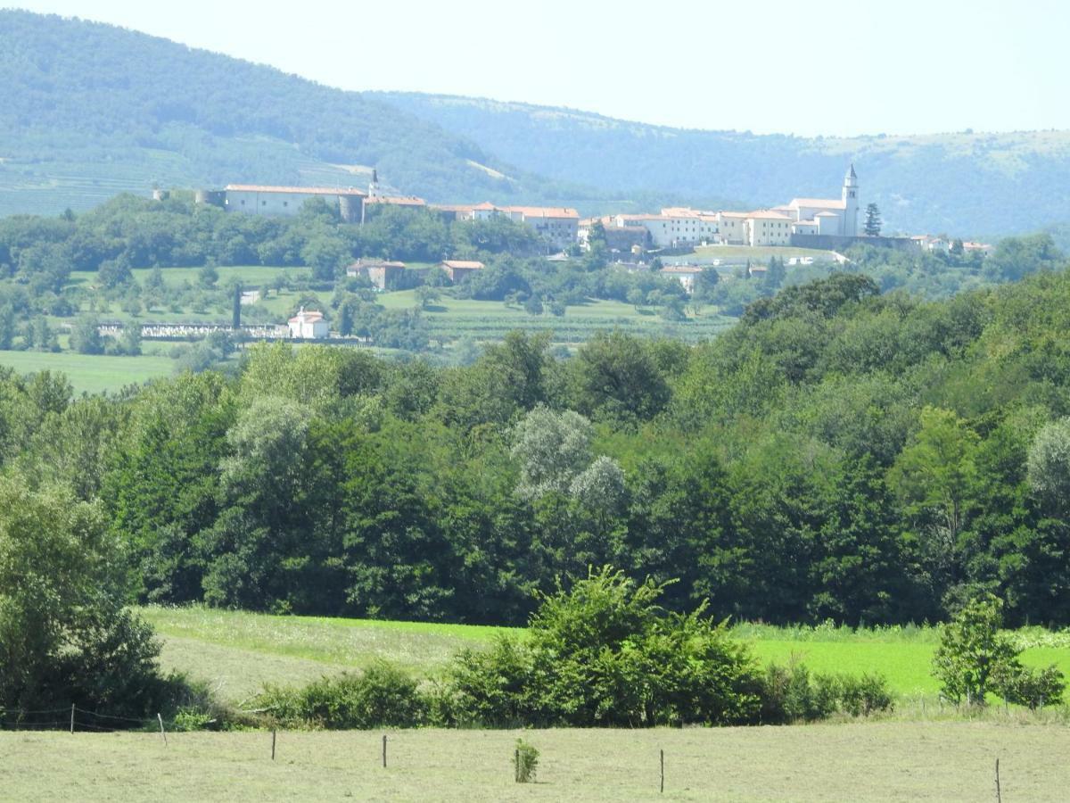 דירות Ajdovščina Turisticna Kmetija Pri Rebkovih מראה חיצוני תמונה